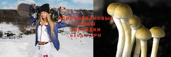 бошки Алексин