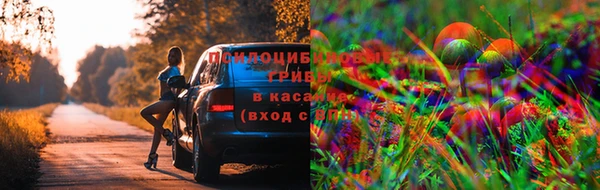 прущий лед Арсеньев