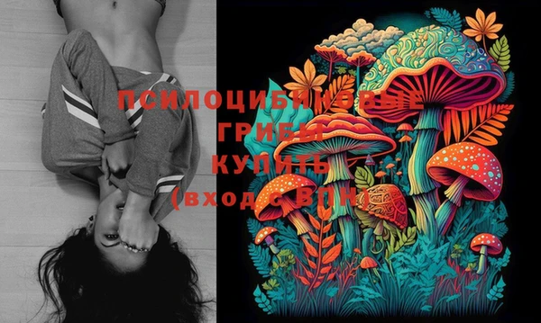 MESCALINE Аркадак